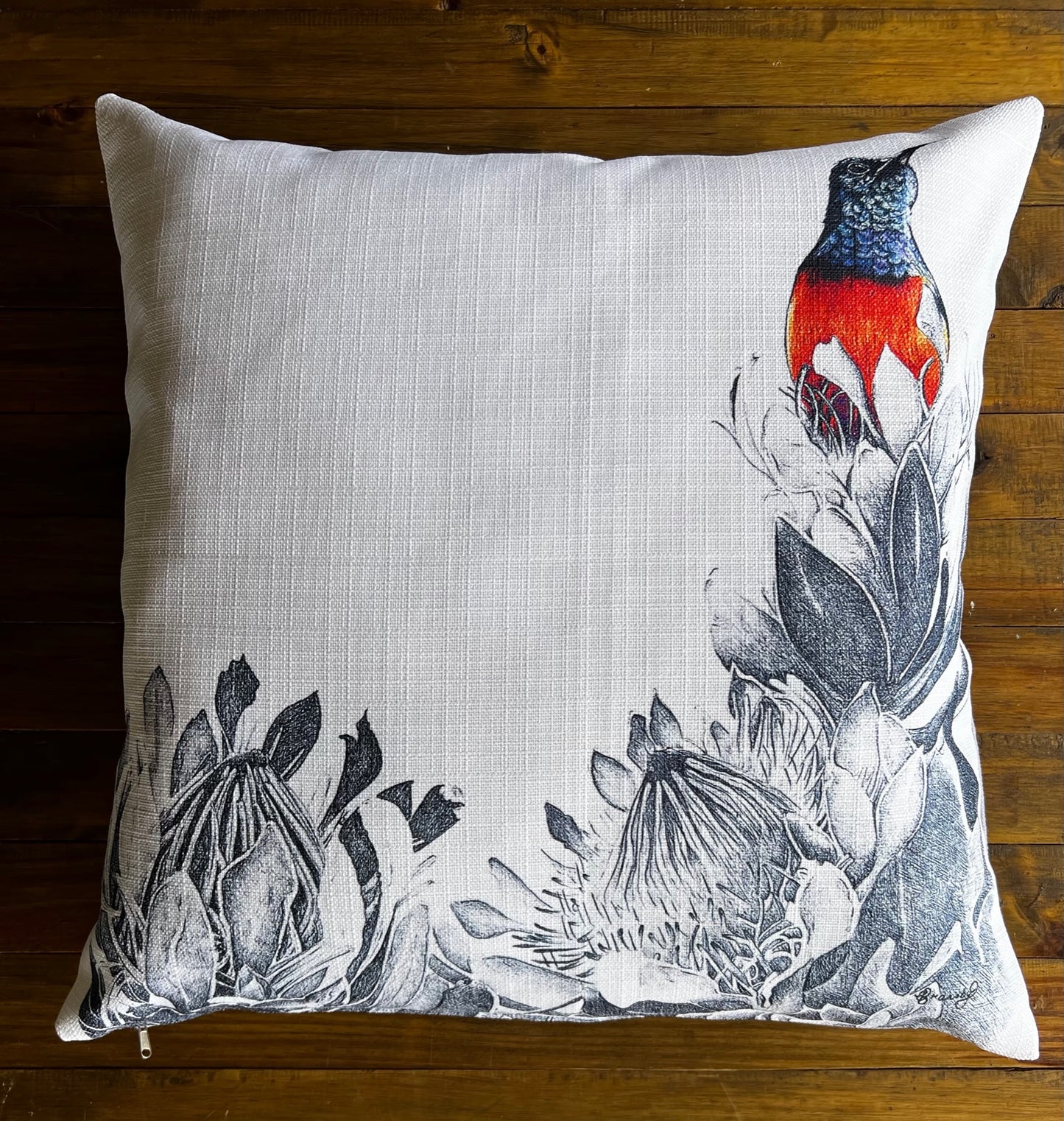 Sunbird Drawing Scatter Cushion Cover