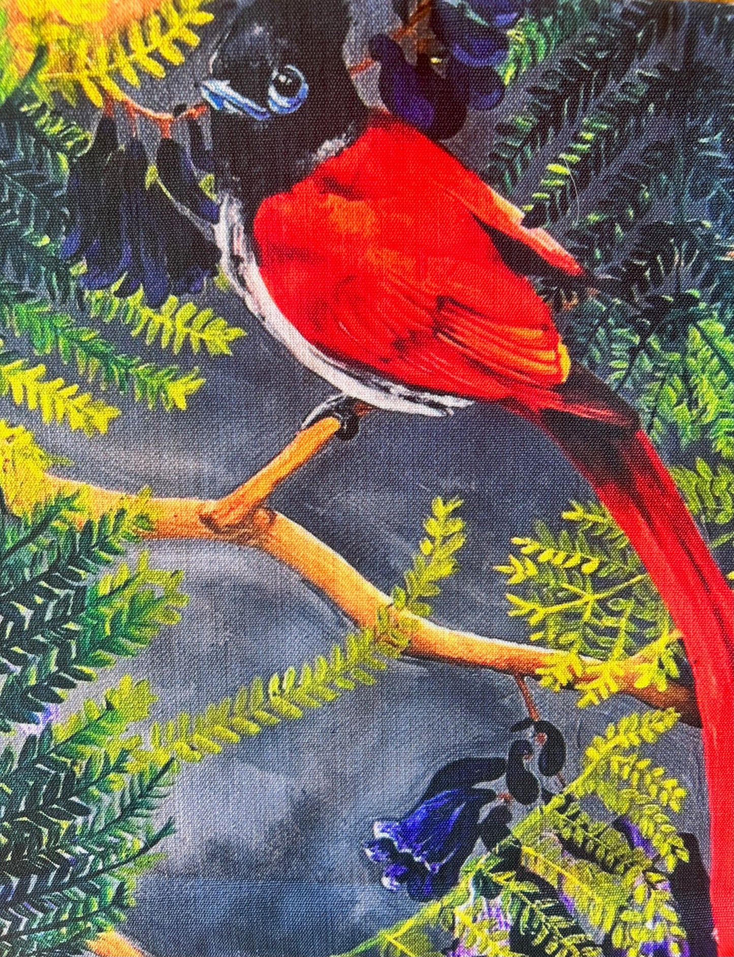 Paradise Flycatcher Cushion Cover